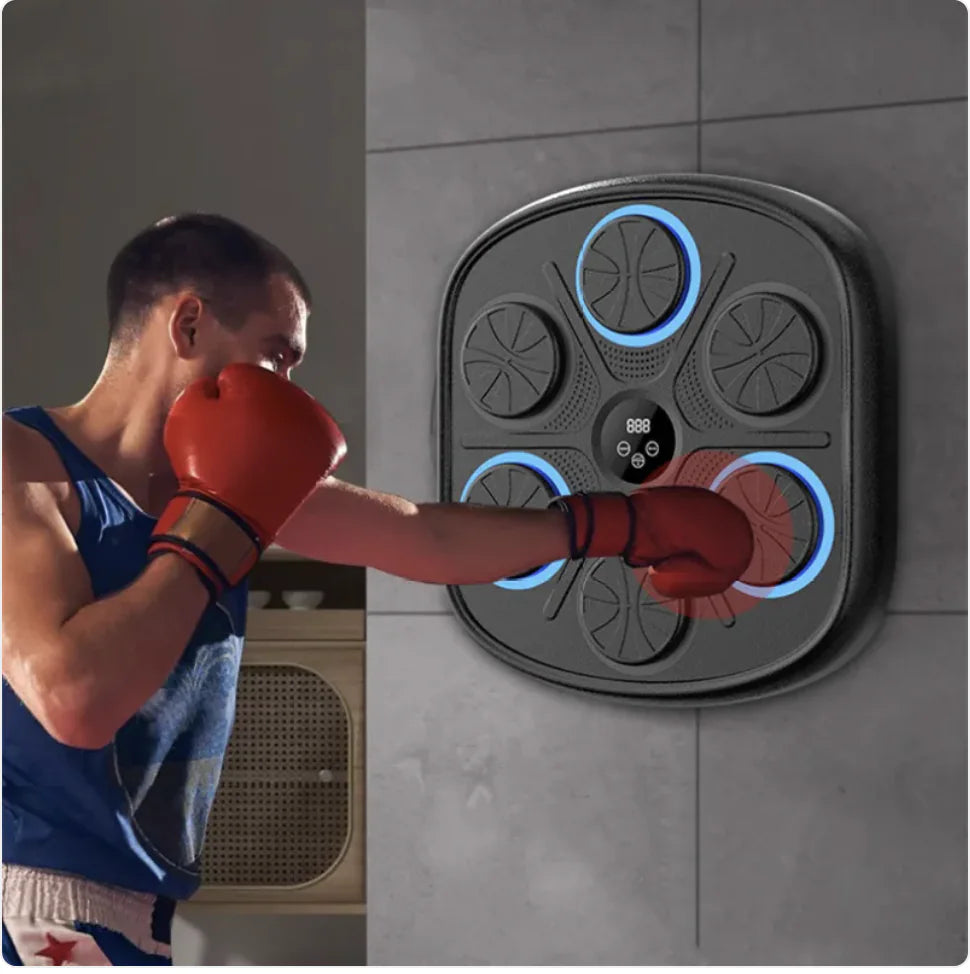 Music Boxing Target Wall Trainer